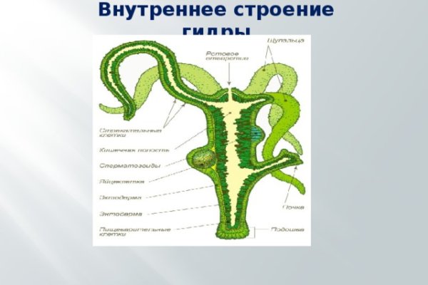 Кракен маркетплейс vk2 top